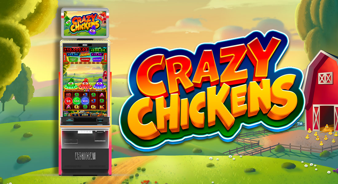 Crazy Chickens