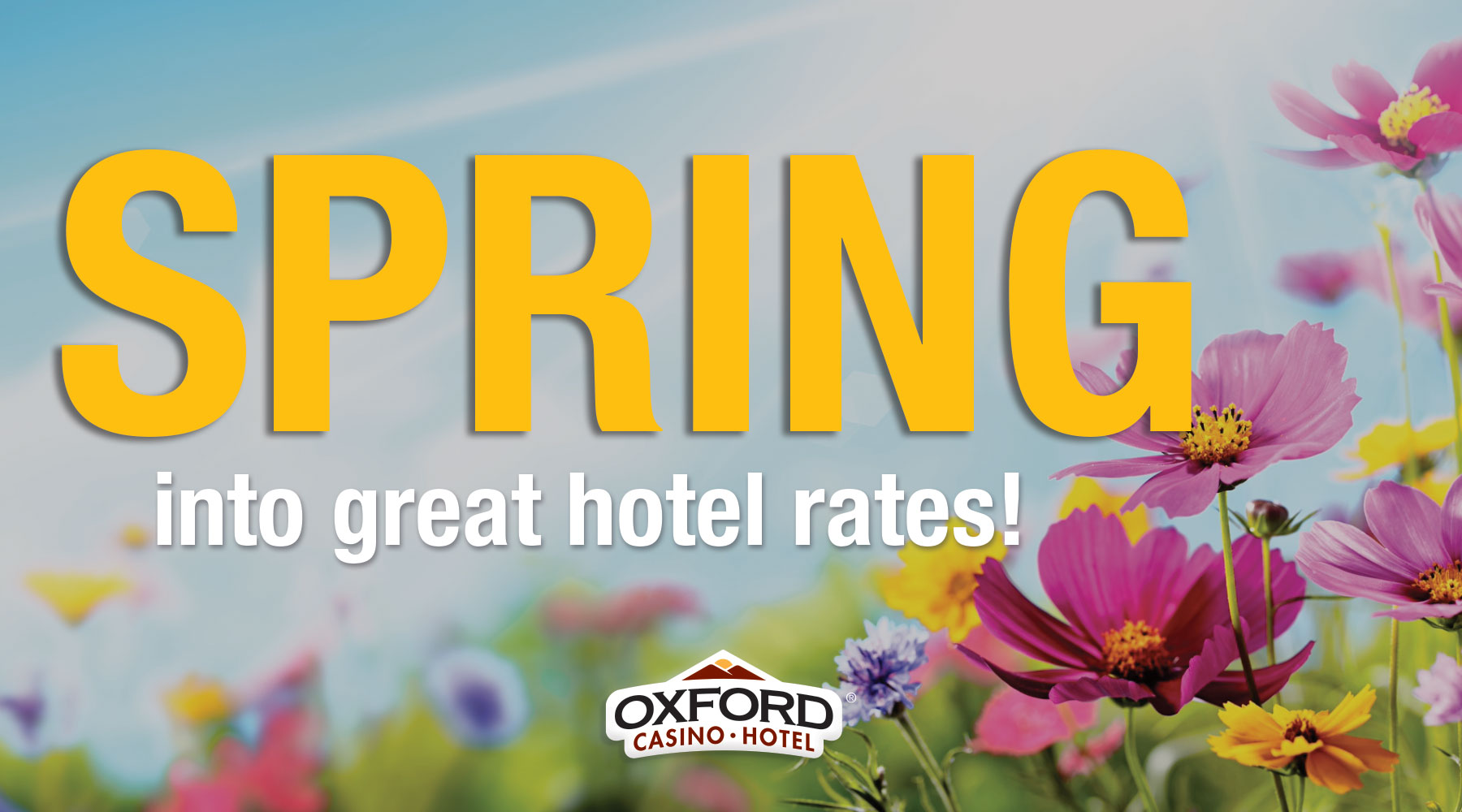 SPRING into great hotel rates